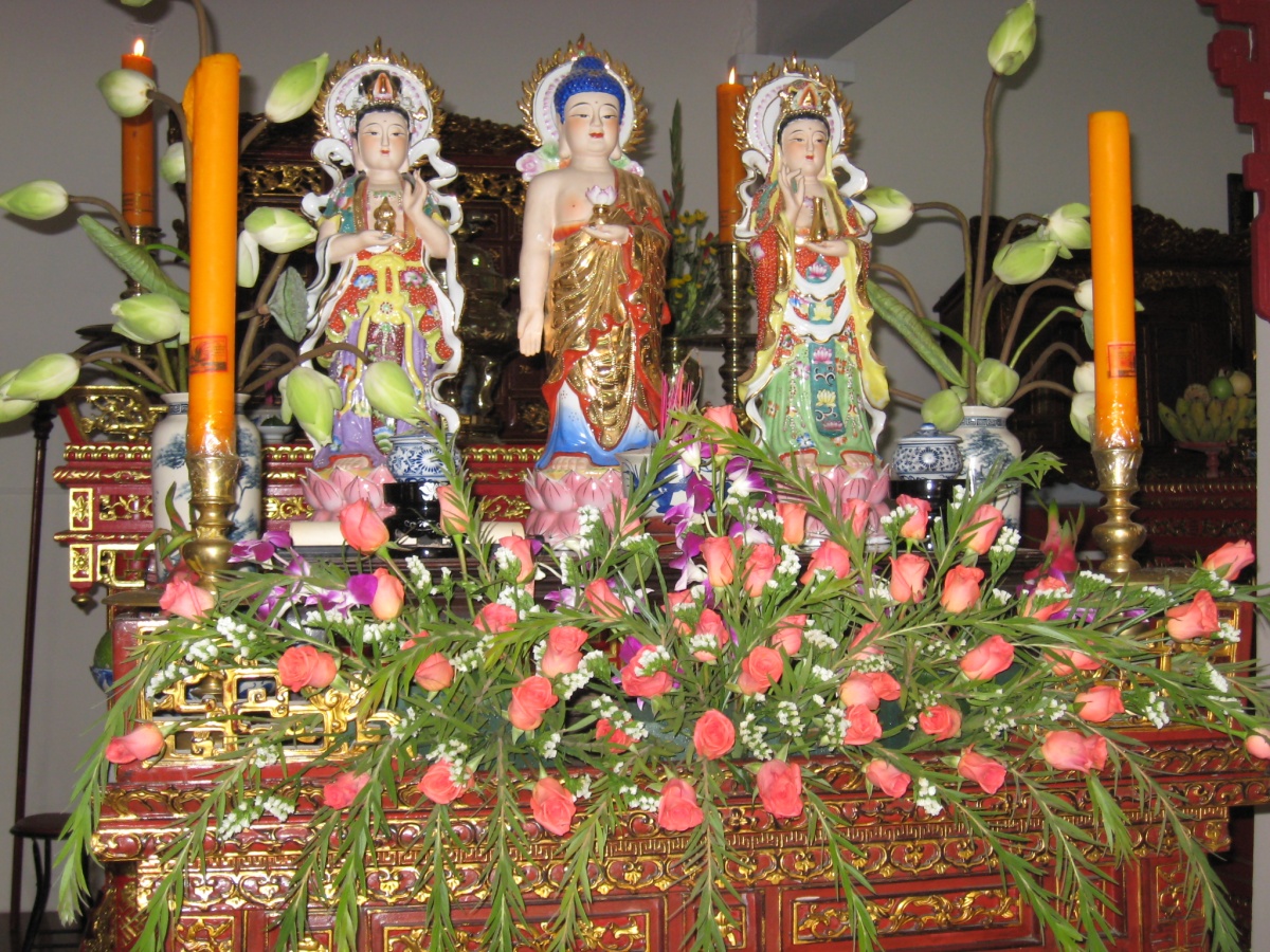 Thu tế