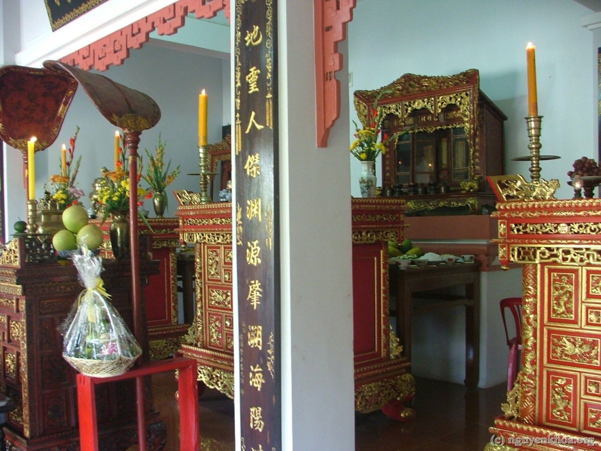 Thu tế
